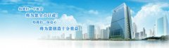 义乌公司法定代表人的法律责任和风险？